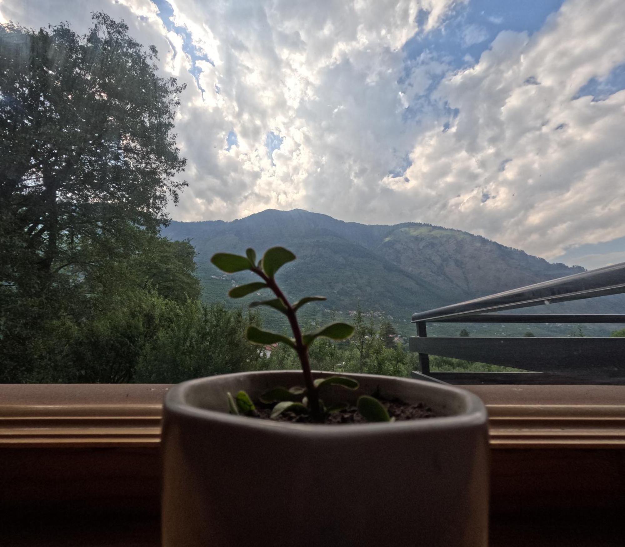 Saanjh - A Serene Retreat Manāli エクステリア 写真